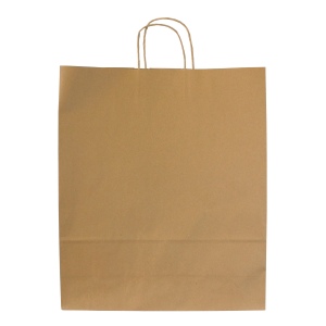 Sac papier kraft anses torsadées 2