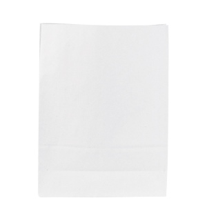 Sac papier blanc sans anses 2