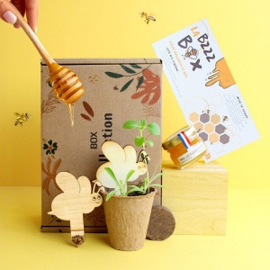 Box découverte miel &amp; abeilles