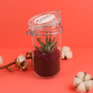 Plante grand bocal