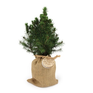 Sapin pochon jute Ø10 cm