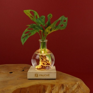 Plante vase socle lumineux
