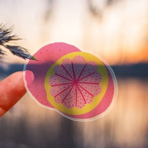 Sticker transparent - France 3