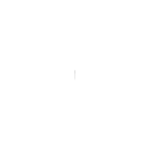 Stilolinea Baron stylo bille - Recharge jumbo 11