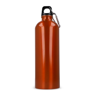Bouteille à simple paroi R-SS avec mousqueton 750ml 31