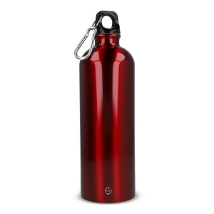 Bouteille à simple paroi R-SS avec mousqueton 750ml 6