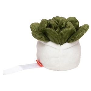 Peluche succulent MBW 3
