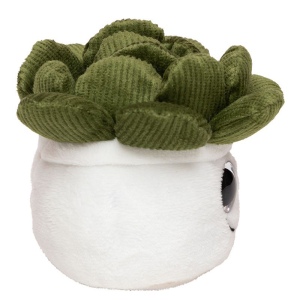 Peluche succulent MBW 5