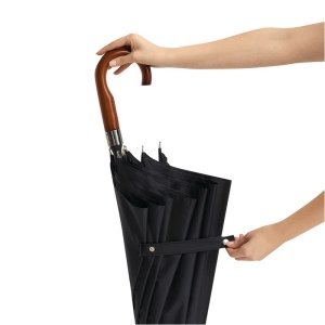 Parapluie de golf automatique EARL 20
