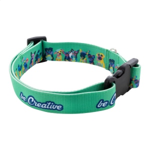 Ziggy Collier pour chien