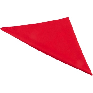 Bandana Héraclès 24