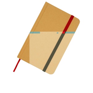 Carnet A6 Reed uni recyclé à couverture rigide 28