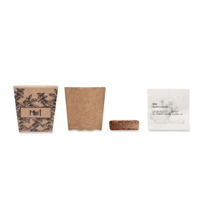 Kit de graines de menthe - MINT KIT 3