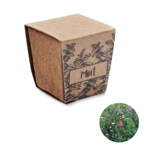 Kit de graines de menthe - MINT KIT