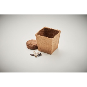 Kit de tournesol - SUNFLOWER KIT 6