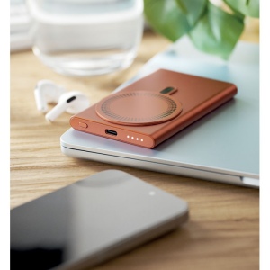 Chargeur sans fil powerbank - PAWTT 24