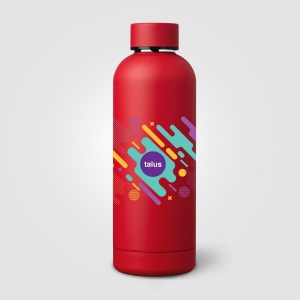 Gourde Astrid en acier inoxydable à double paroi - 530 ml (+Sérigraphie) 4