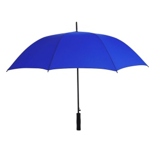 Parapluie - Wiber 2