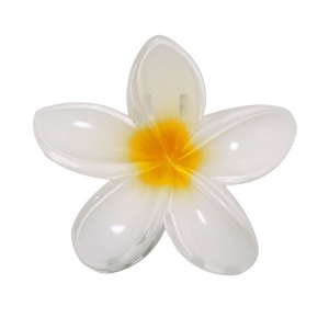 Pince à cheveux - Tixcon