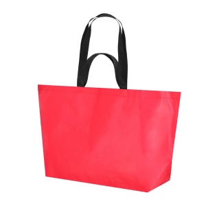 Sac - Torvik 6