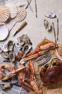 VINGA Histoire des fruits de mer 7