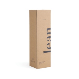 VINGA Bouteille d'eau 800ml RCS RPET Lean 22