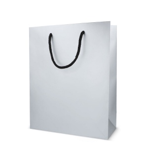 Sac cadeau en papier24 x 10 x 30cm 200g/m² 4