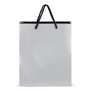 Sac cadeau en papier24 x 10 x 30cm 200g/m² 5