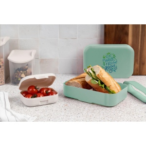Boîte à lunch pratique en plastique PP de la marque Amuse 7