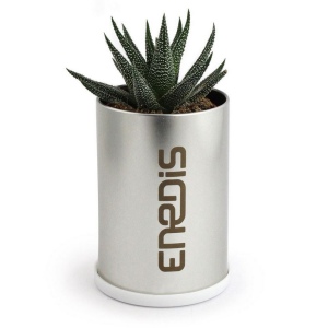 Canette plante alu 2