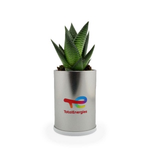 Canette plante alu 3