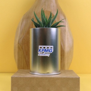 Canette plante alu