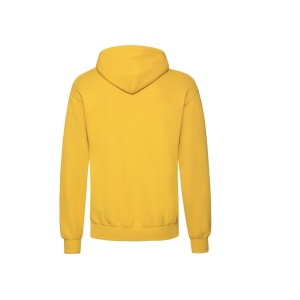 Sweat capuche 280 29