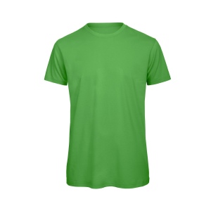 Tee-shirt homme coton bio 13