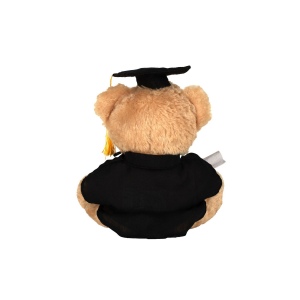 Ours en peluche diplomé 3