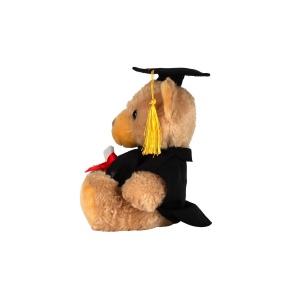 Ours en peluche diplomé 4