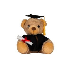 Ours en peluche diplomé 2
