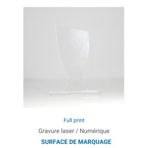 Trophée en plexiglas COUPE - France 4