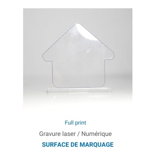 Trophée en plexiglas MAISON - France 4