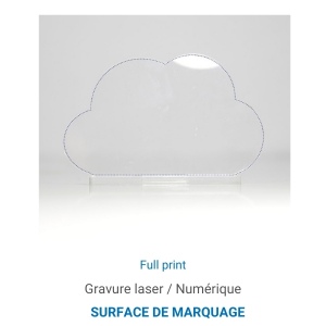 Trophée en plexiglas NUAGE - France 4