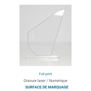 Trophée en plexiglas PICS - France 4