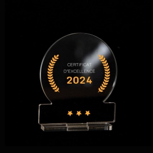 Trophée en plexiglas ROND - France 3