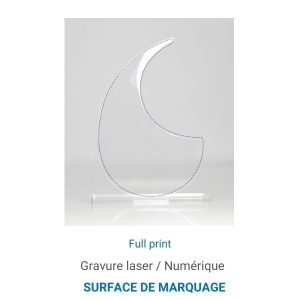 Trophée en plexiglas VIRGULE - France 4
