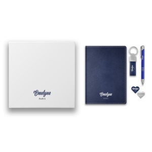 Business borabox - puht en avion