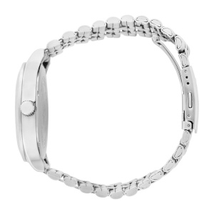 ICE steel solar Silver 2