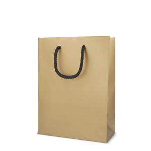 Sac cadeau en papier 18 x 8 x 24cm 200g/m² 6
