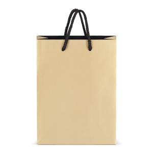 Sac cadeau en papier 18 x 8 x 24cm 200g/m² 7