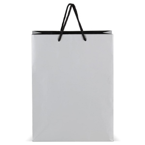 FSC Sac cadeau en papier 30 x 12 x 40cm 200g/m² 4