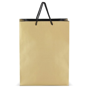 FSC Sac cadeau en papier 30 x 12 x 40cm 200g/m² 7