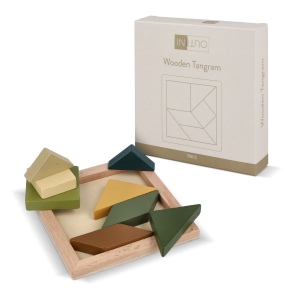 InSideOut Tangram en bois think IQ puzzle 6